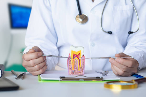 Best Emergency Root Canal Treatment in Temple, TX